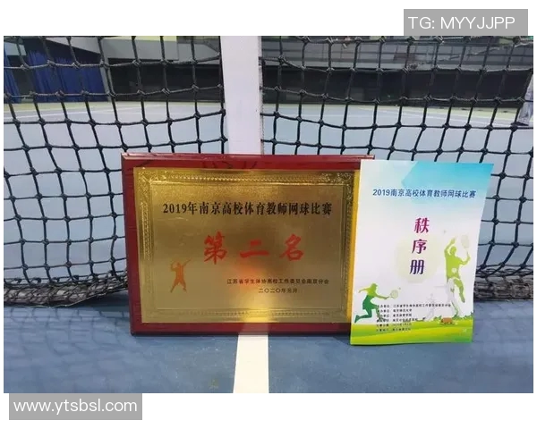 南京网球队防反策略分析与比赛表现评估探讨